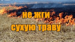 ПАМЯТКА о запрете сжигания сухой растительности. ПАМЯТКА о запрете сжигания сухой растительности.